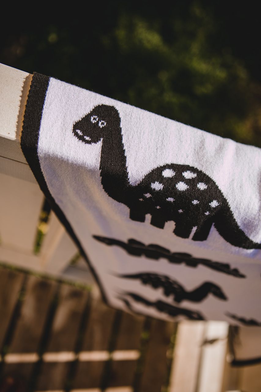 Babydecke_Dinosaurier