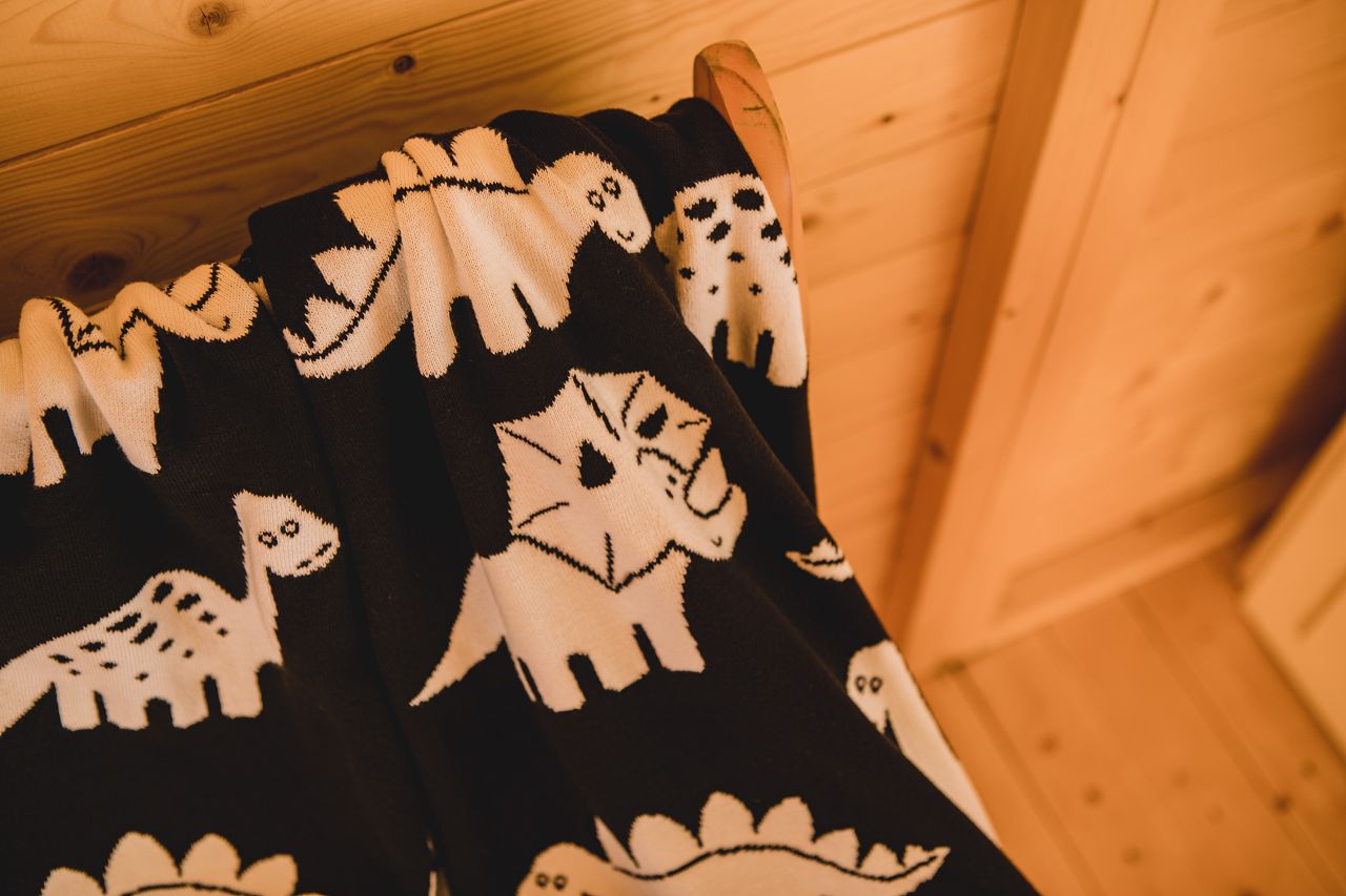 Babydecke_Dinosaurier